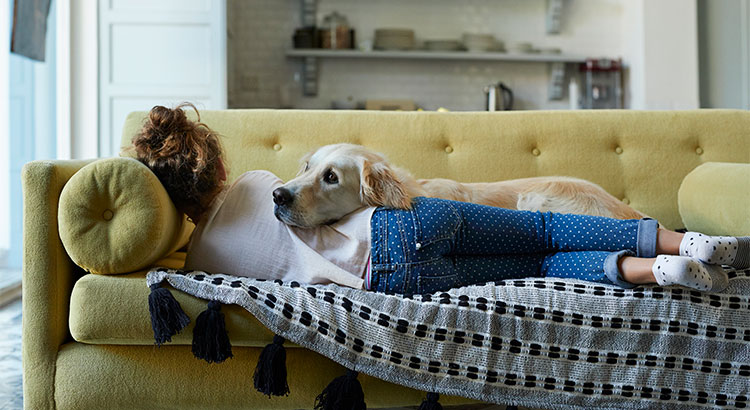 Why Pet-Friendly Homes Are In High Demand